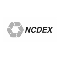 Stratus: Logo NCDEX